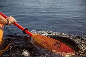 Carlisle 4387576709154 Magic Mystic Paddle 230 Fire Brand New