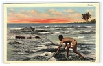 Hawaii Casting Fish Net On Beach Into Ocean Island Native Sunset Linen 0401. Fixed Price $8.95.