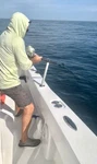 Bluefin Tuna Boat Rod Holder Pole Assist Leverage Support Bar Dev Fishing. Fixed Price $249.00.
