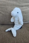 Adventure Park San Diego White Beluga Whale Bean Bag Plush. Fixed Price $30.00.