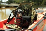 High Back Elite Sit On Top Kayak Seat - Camo. Fixed Price $529.00.