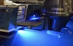 Lumitec 101246 Boat Underwater Light Seablaze Mini Blue Non Dimming Led. Fixed Price $312.00.