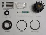 New Volvo Penta Raw Sea Water Pump Rebuild Kit Impeller Fits 21212799 21212800. Fixed Price $55.35.