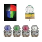 Promar Submersible Strobe Lights. Fixed Price $17.99.